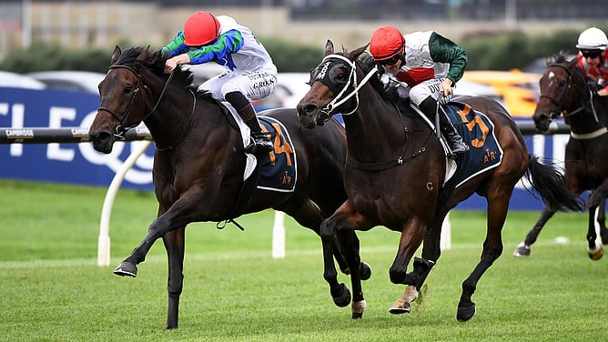 Solid Gold (inside) winning the Gr.3 Trelawney Stud Championship Stakes (2100m).  - Photo: Kenton Wright (Race Images)