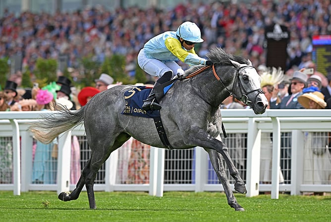 Three-time Group One winner Charyn will join Cambridge Stud's stallion roster this coming breeding season.  - Photo: Supplied