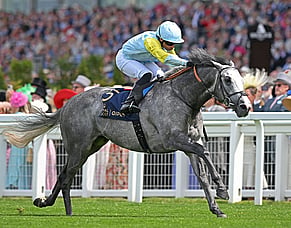 Champion European Miler to bolster Cambridge Stud&rsquo;s stallion roster