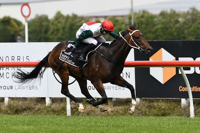 Group One winner Mercurial has been retired. -  Photo: Kenton Wright (Race Images)