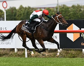 Group One winner Mercurial retired