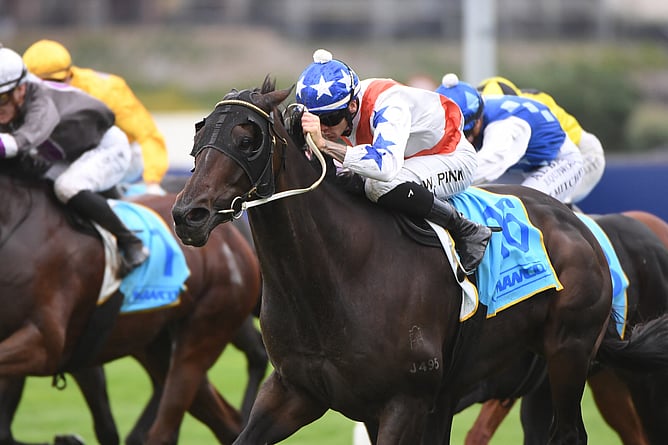 Lupo Solitario winning the Gr.3 Easter Handicap (1600m).  - Photo: Kenton Wright (Race Images)