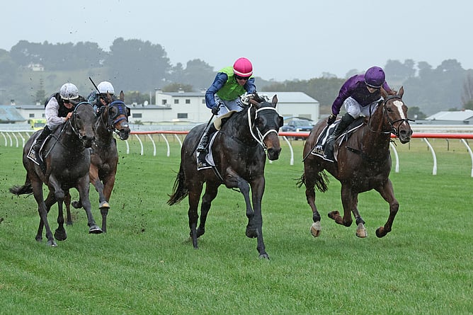 Riverplate winning at Wanganui on Saturday. - Photo: Jane Davidson (Race Images)