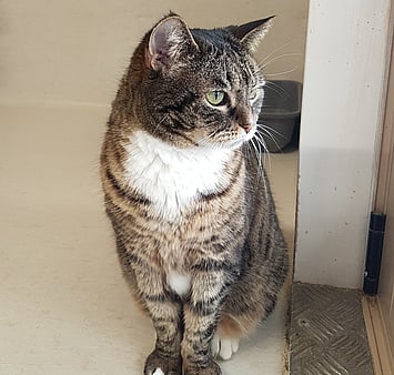 Guests at Keepin Katz