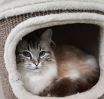 Guest at Keepin Katz