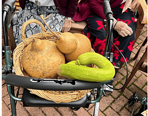 Gardens4Health, a getting-ready-for-winter garden party