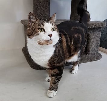 A beautiful life remembered