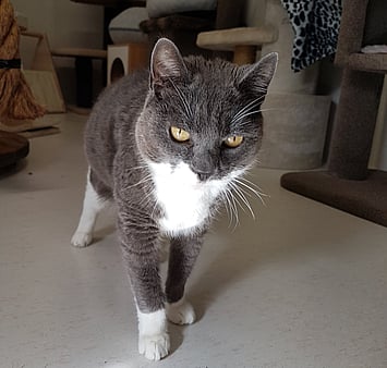 A cherished guest of Keepin Katz