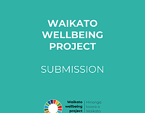 Oral Presentation to Hamilton City Council Community Committee