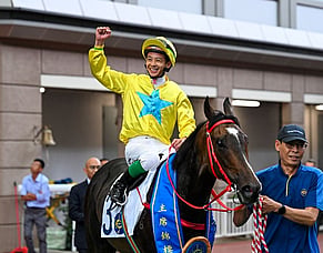Transformed sprint hero Lucky Sweynesse goes for FWD Champions Mile glory