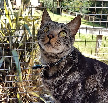 A beautiful soul, forever part of the family