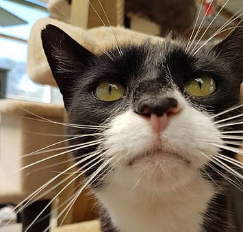 Memorial from Keepin Katz