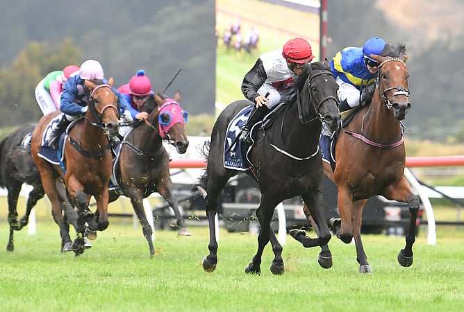 Sudbina winning the Gr.3 Desert Gold Stakes (1600m)  - Photo: Race Images PN (Peter Rubery)