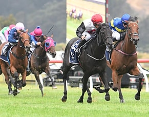 Remarkable breeding partnership ends with Gavelhouse Plus action