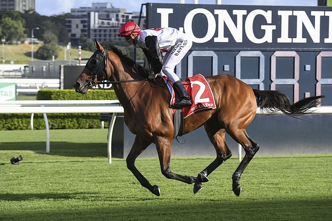 Group One performed mare Rondinella -  Photo: Bradley Photography