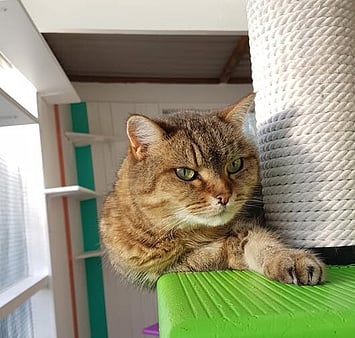 visitor memorial from Keepin Katz