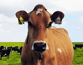 HubWatch - 24 April 2026