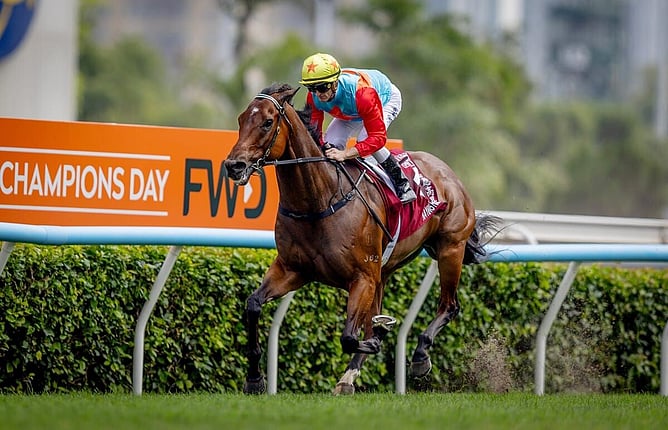 Ka Ying Rising extends winning streak to 20 and breaks track record again - Photo: Hong Kong Jockey Club