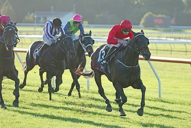 Atmospheric winning the Listed Jennian Homes ANZAC Mile (1600m).  - Photo: Peter Rubery (Race Images)