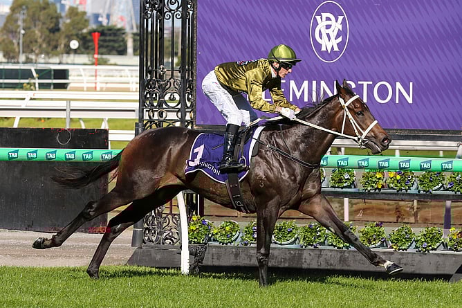 Blind Raise added black type to his unbeaten record in Saturday&rsquo;s A$175,000 Listed ANZAC Day Stakes (1400m) at Flemington.  - Photo: Bruno Cannatelli